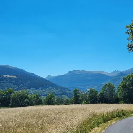 Au Coeur Du Volcantal Guest house
