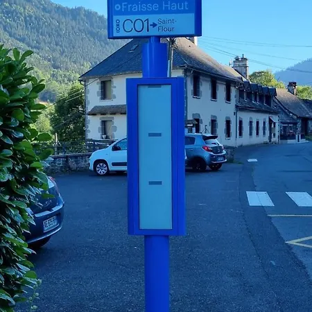 Pensionat Au Coeur Du Volcantal *