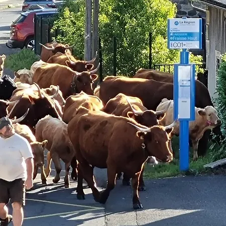 Au Coeur Du Volcantal Guest house Laveissiere