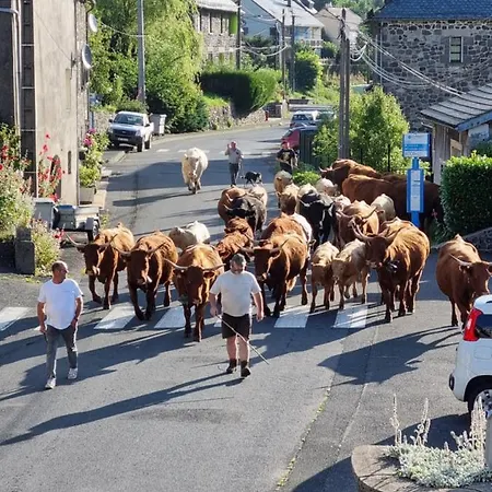 Au Coeur Du Volcantal Guest house