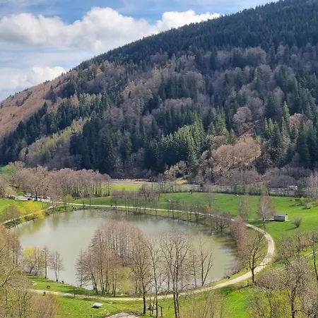 Pensionat Au Coeur Du Volcantal