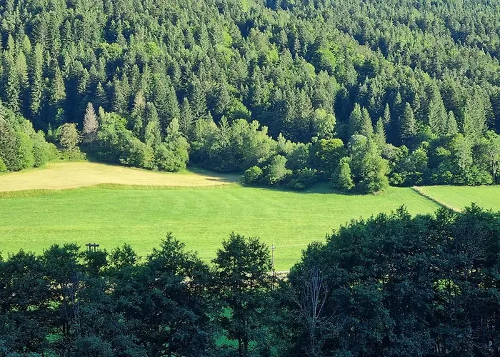 Au Coeur Du Volcantal 3* Laveissiere