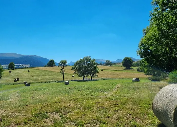 Au Coeur Du Volcantal Гостевой дом 3*